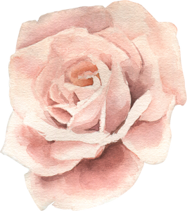 Watercolor Flower Illustration